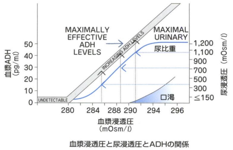 ADHʗ\E