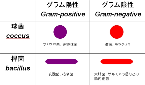 OF̎g